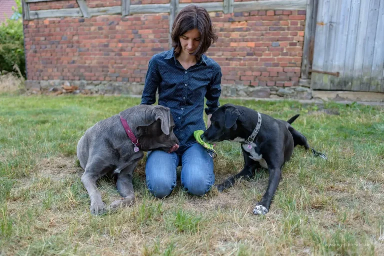 Franziska Schneider kniet zwischen ihren Hunden Murdoch und Freya im Gras