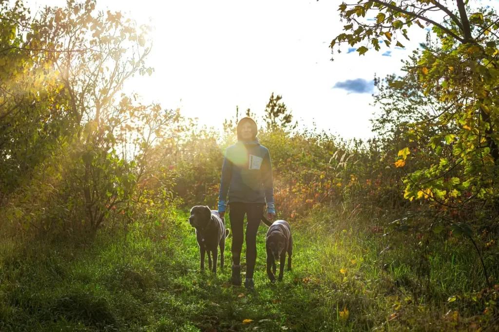 Franziska Schneider mit ihren Hunden Murdoch und Freya im Gegenlicht